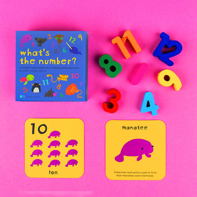 What's the Number? Number Flashcards