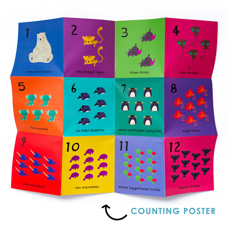 What's the Number? Number Flashcards