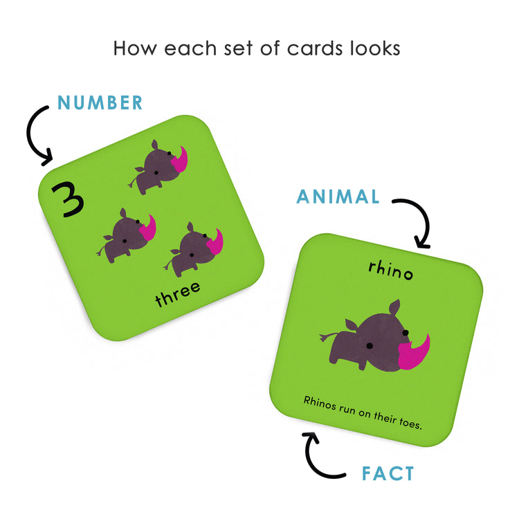 What's the Number? Number Flashcards