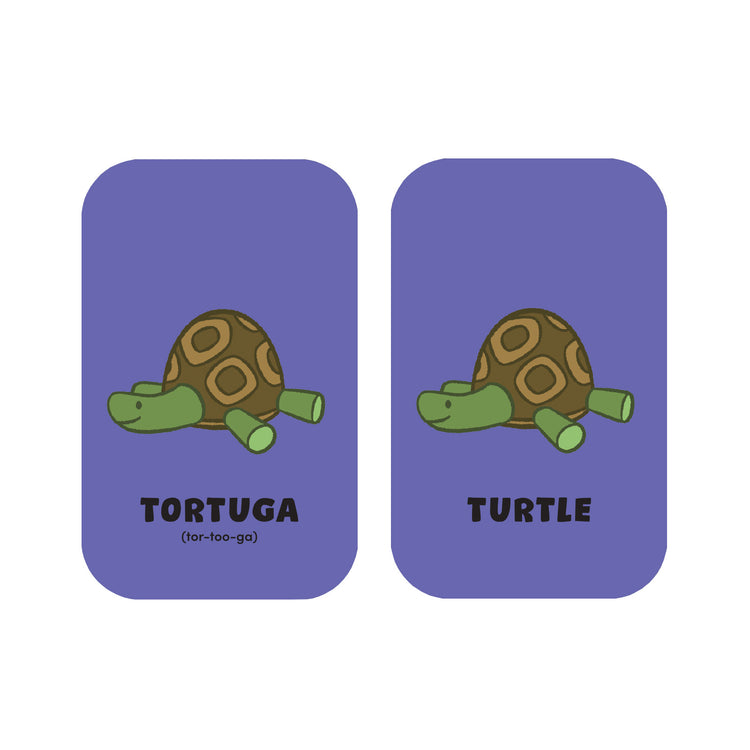 Minilingo Basic Words: Spanish/English Flashcards