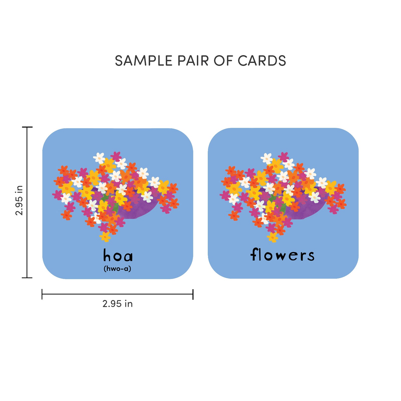 Minilingo, Vietnamese/English Flashcards
